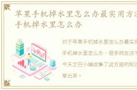 苹果手机掉水里怎么办最实用方法，苹果手机掉水里怎么办