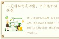 小灵通如何充话费，网上怎么给小灵通充话费