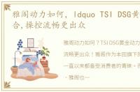 雅阁动力如何，ldquo TSI DSG黄金动力组合,操控流畅更出众
