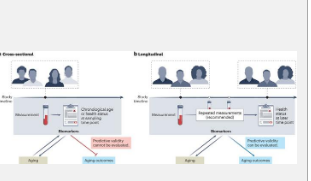 新论文提出了衰老生物标志物的标准和可行的临床工具