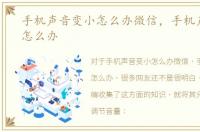 手机声音变小怎么办微信，手机声音变小怎么办