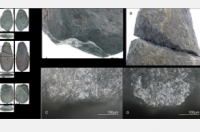 科学家尝试石器时代的工具以了解它们的使用方式