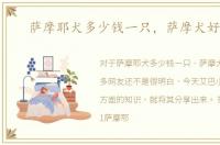 萨摩耶犬多少钱一只，萨摩犬好养吗
