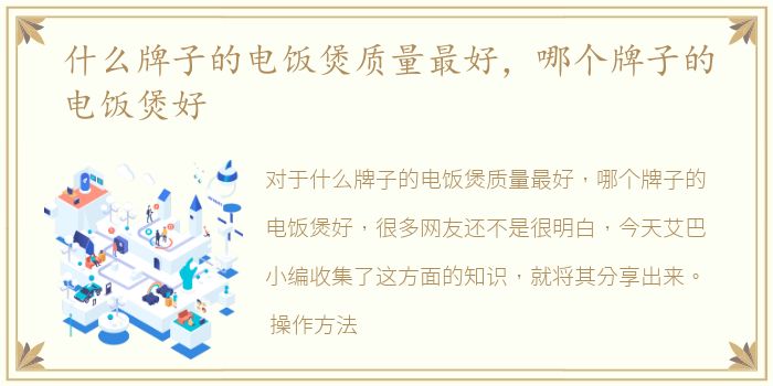 什么牌子的电饭煲质量最好，哪个牌子的电饭煲好