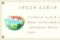 八哥怎么养 怎么养八哥