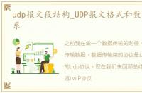 udp报文段结构_UDP报文格式和数据结构体系