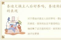 泰迪犬换主人后好养吗，泰迪狗换主人后的表现