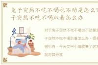 兔子突然不吃不喝也不动是怎么回事，兔子突然不吃不喝趴着怎么办