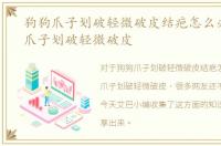 狗狗爪子划破轻微破皮结疤怎么办，狗狗爪子划破轻微破皮