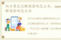 向日葵忘记解锁密码怎么办，oppoR9S忘记解锁密码怎么办
