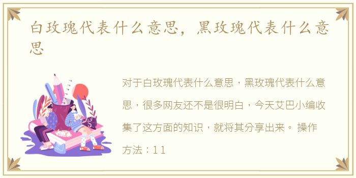 白玫瑰代表什么意思，黑玫瑰代表什么意思