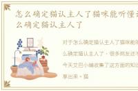 怎么确定猫认主人了猫咪能听懂话吗，怎么确定猫认主人了