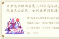 家里怎么除跳蚤怎么彻底消除跳蚤，家里跳蚤怎么消灭，如何正确消灭跳蚤