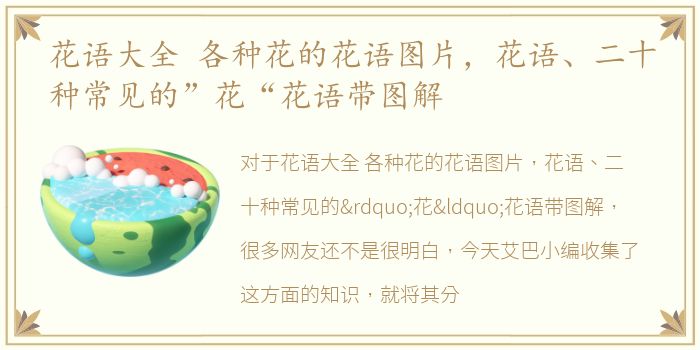花语大全 各种花的花语图片，花语、二十种常见的”花“花语带图解