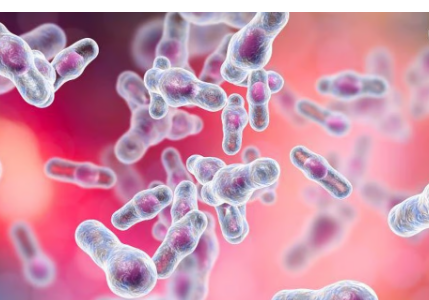 AGA 建议粪便微生物群移植治疗复发性艰难梭菌