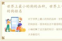 世界上最小的狗的品种，世界上十种最小的狗排名