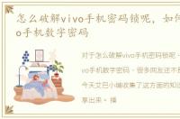 怎么破解vivo手机密码锁呢，如何破解vivo手机数字密码