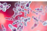 AGA 建议粪便微生物群移植治疗复发性艰难梭菌