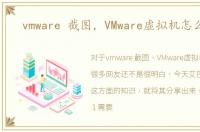 vmware 截图，VMware虚拟机怎么截图
