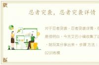 忍者突袭，忍者突袭详情