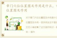 章门穴位位置图及作用是什么，章门穴位位置图及作用