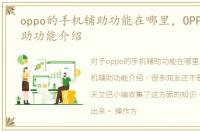 oppo的手机辅助功能在哪里，OPPO手机辅助功能介绍