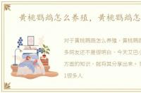 黄桃鹦鹉怎么养殖，黄桃鹦鹉怎么养