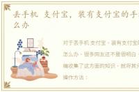 丢手机 支付宝，装有支付宝的手机丢了怎么办