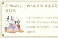 华为mate20，Pro怎么检测屏幕等硬件是否有问题