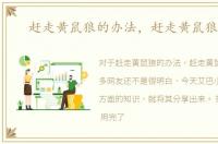 赶走黄鼠狼的办法，赶走黄鼠狼妙招