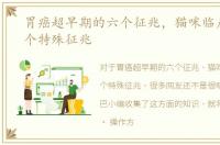 胃癌超早期的六个征兆，猫咪临产前的六个特殊征兆