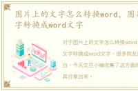 图片上的文字怎么转换word，图片上的文字转换成word文字