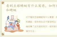 看到豆娘蜻蜓有什么寓意，如何分辨豆娘和蜻蜓
