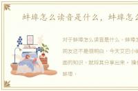 蚌埠怎么读音是什么，蚌埠怎么读