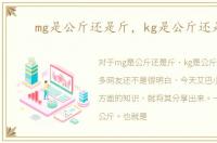 mg是公斤还是斤，kg是公斤还是斤