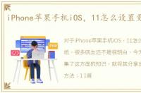 iPhone苹果手机iOS，11怎么设置更换壁纸