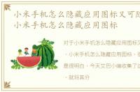 小米手机怎么隐藏应用图标又可随时打开，小米手机怎么隐藏应用图标