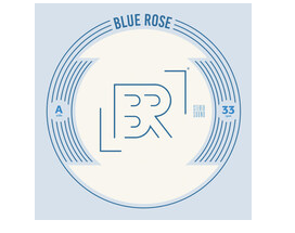 乔波莱托的蓝玫瑰音乐将推出摇滚鼠标