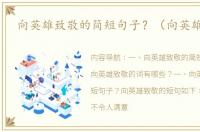 向英雄致敬的简短句子？（向英雄致敬）