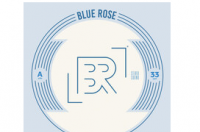 乔波莱托的蓝玫瑰音乐将推出摇滚鼠标