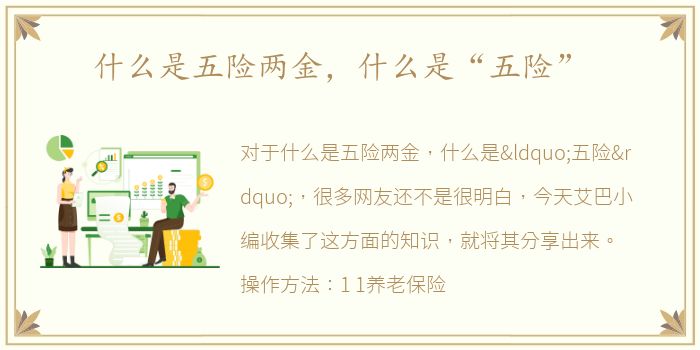 什么是五险两金，什么是“五险”