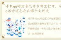 手机qq的语音文件在哪里打开，安卓手机qq语音消息存在哪个文件夹