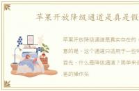 苹果开放降级通道是真是假