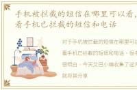 手机被拦截的短信在哪里可以看，怎么查看手机已拦截的短信和电话
