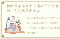 狗狗晕车怎么办长途旅行可给喂点安定药吗，狗狗晕车怎么办