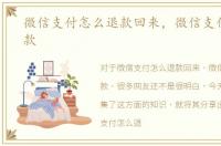 微信支付怎么退款回来，微信支付怎么退款