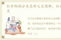 牡丹鹦鹉分类名称大全图解，牡丹鹦鹉分类