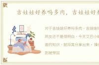 吉娃娃好养吗多肉，吉娃娃好养吗
