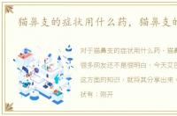 猫鼻支的症状用什么药，猫鼻支的症状