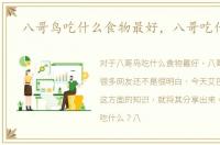 八哥鸟吃什么食物最好，八哥吃什么好